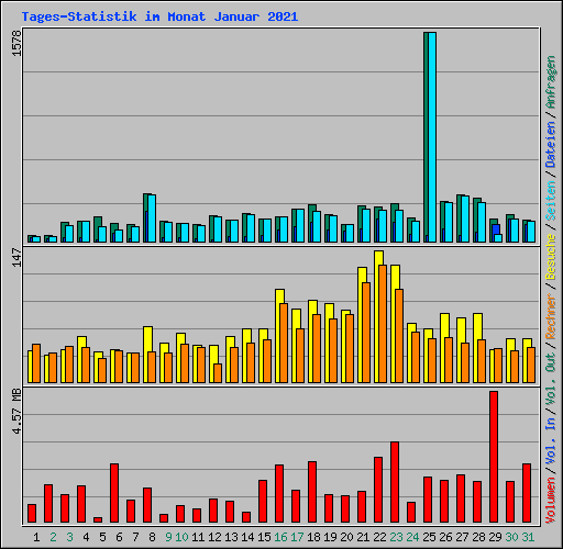 Tages-Statistik im Monat Januar 2021