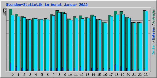 Stunden-Statistik im Monat Januar 2022