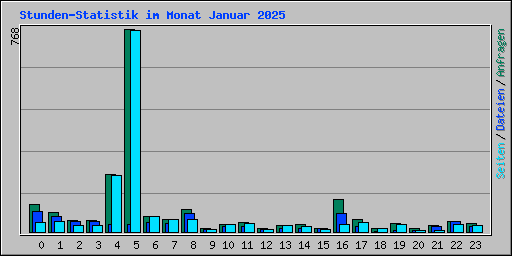 Stunden-Statistik im Monat Januar 2025