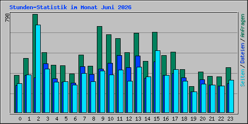 Stunden-Statistik im Monat Juni 2026