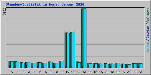 Stunden-Statistik im Monat Januar 2020