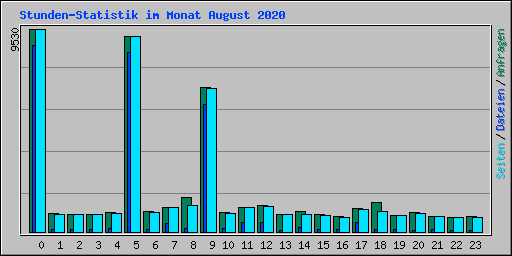 Stunden-Statistik im Monat August 2020