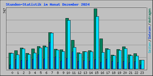 Stunden-Statistik im Monat Dezember 2024